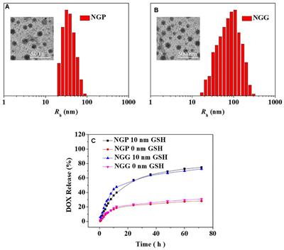 Polypeptide Nanogels With Different Functional Cores Promote Chemotherapy of Lung Carcinoma